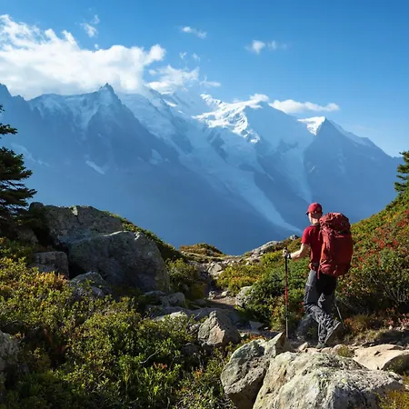 Grand Roc - Campanules 303 - Happy * Chamonix